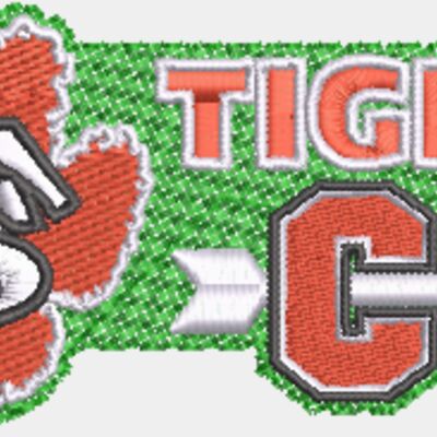 FS Tigers Thumbnail